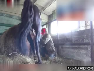College Co-Ed Living Out Her Wildest Fantasy: Experiencing the Thrill of Horse Cock!