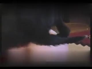 Watch: Massive Dark Doggo Unleashes Unbridled Passion on an Unsuspecting Floozy!