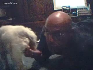 Bald chap gives BlowJob job animal sex to dog - Zoo Porn Dog Sex, Zoophilia sex xxx zoo free free porn video watch now
