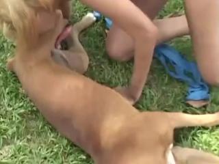 dog and girl sex video in the meadow xxx video zoo free porn animal video