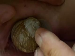 The Best Free Porn Video XXX of Snail Sex in the Zoo