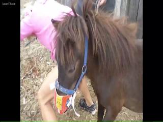 Watch and download these videos of a girl being sexually assaulted by a horse for free.