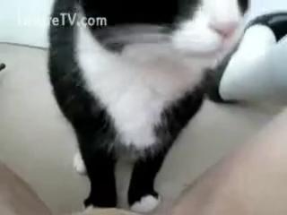 Teen enjoys risqué joy from a cat licking her cunt - Zoophilia