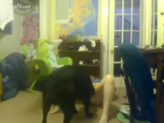 Blonde loves to have his dog be a nerd weenie - Zoo Porn Dog Sex, Zoophilia